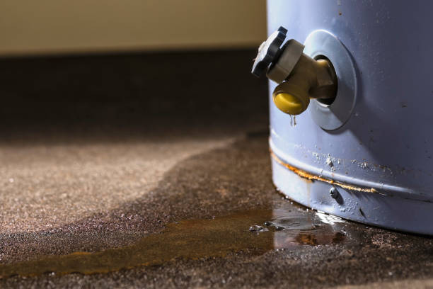 Sewage cleanup and water damage restoration in Bernie, MO