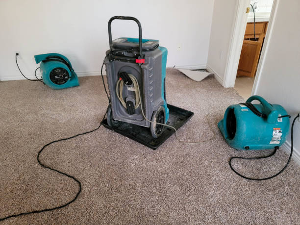 Best Flood restoration services  in Bernie, MO