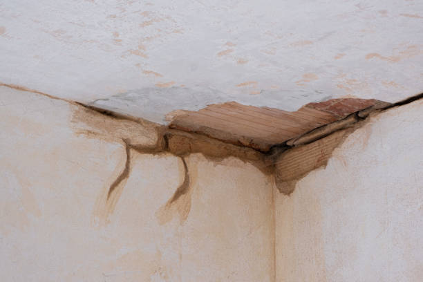 Best Basement water damage restoration  in Bernie, MO