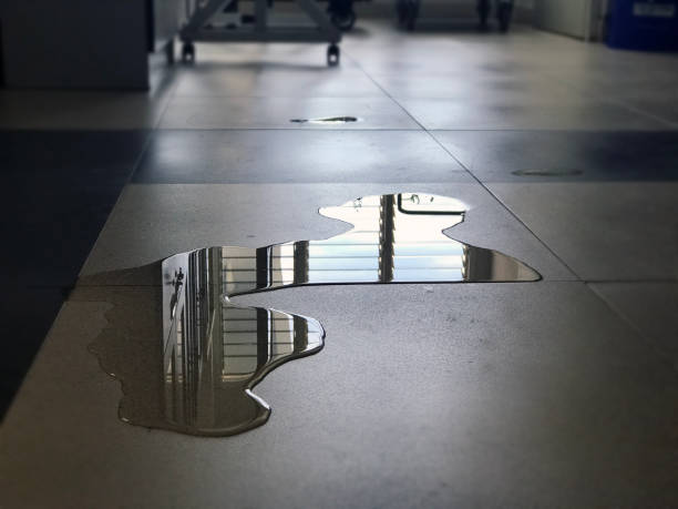 Best Water damage restoration near me  in Bernie, MO