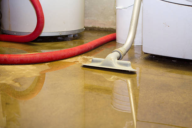Best Professional water damage repair  in Bernie, MO