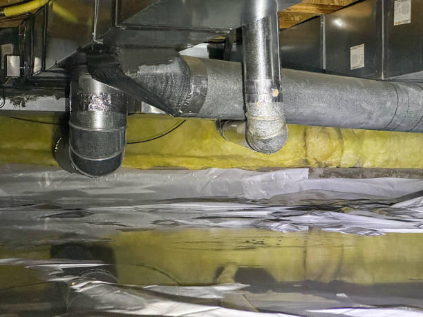  Bernie, MO Water damage restoration Pros