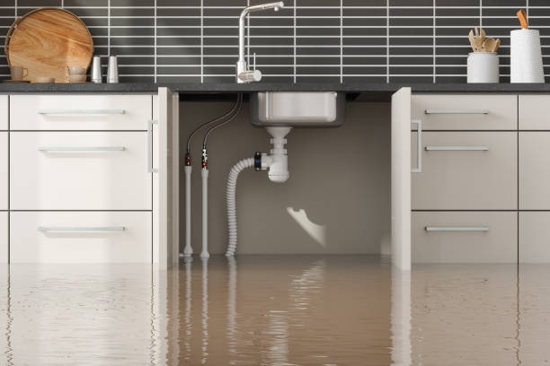 Best Commercial water damage restoration  in Bernie, MO