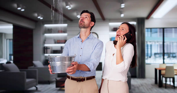 Best Water damage restoration mold remediation  in Bernie, MO