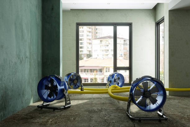 Best Water damage contractors near me  in Bernie, MO