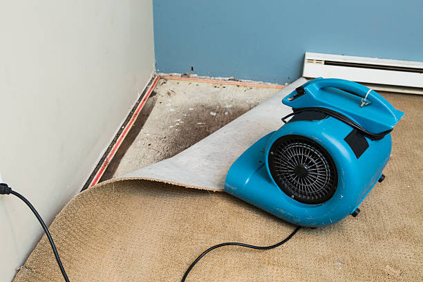  Bernie, MO Water damage restoration Pros